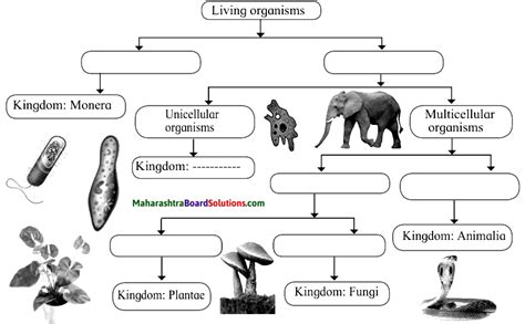 Maharashtra Board Class 10 Science Solutions Part 2 Chapter 6 .